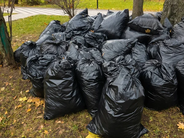 Sacco Sacchetti Plastica Neri Pieni Foglie Cadute Mosca Russia — Foto Stock