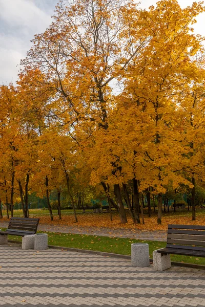 Goldener Herbst Auf Einem Boulevard Moskau Russland — Stockfoto