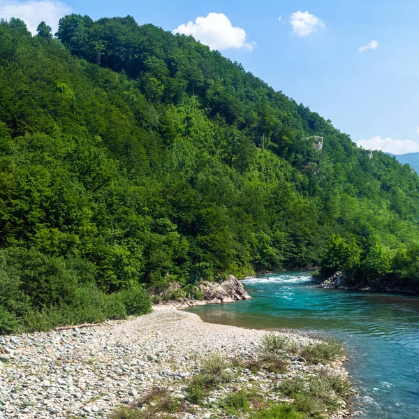 Landscape Beautiful Mountain River Montenegro — Stock Photo, Image