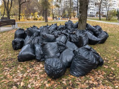 Düşen yapraklarla dolu plastik torbalar. Moskova, Rusya