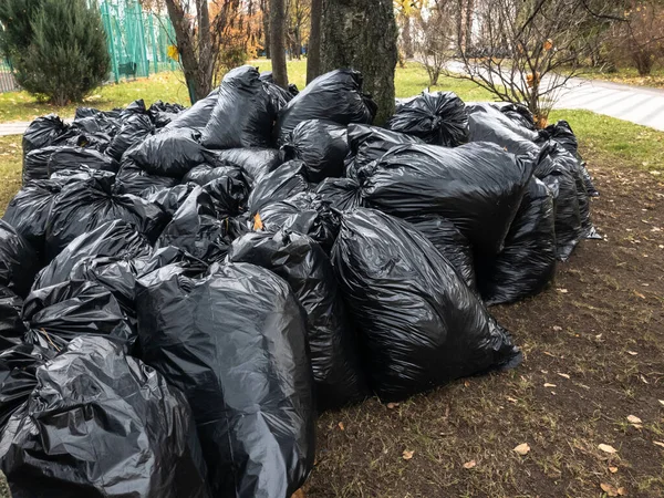 Пластиковые пакеты, наполненные опавшими листьями. Москва, Россия — стоковое фото