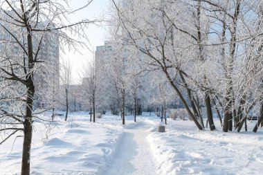 Rusya 'nın Moskova kentindeki 20 Zelenograd bölgesinde karla kaplı bir bulvar.