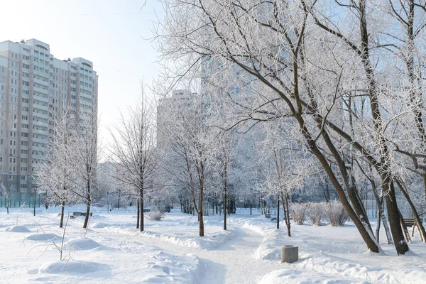 Snow-covered boulevard in microdistrict 20 Zelenograd in Moscow, Russia — стоковое фото