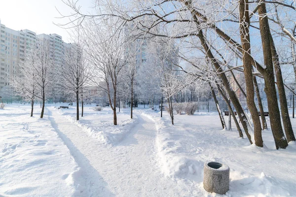Snow-covered boulevard in microdistrict 20 Zelenograd in Moscow, Russia — Stockfoto