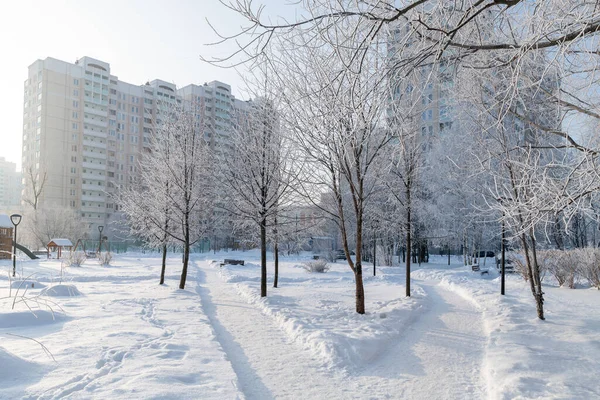 Sneeuwbedekte boulevard in microdistrict 20 Zelenograd in Moskou, Rusland — Stockfoto