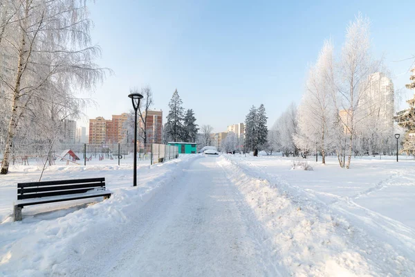 Hoarfrost träd i boulevard i mikrodistrikt 20 Zelenograd i Moskva, Ryssland — Stockfoto