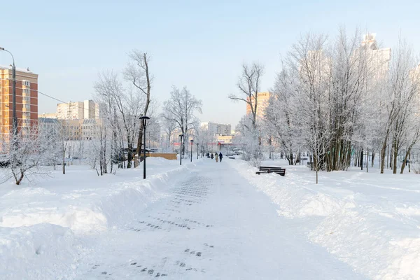 Hoarfrost trees in boulevard in microdistrict 20 Zelenograd στη Μόσχα, Ρωσία — Φωτογραφία Αρχείου