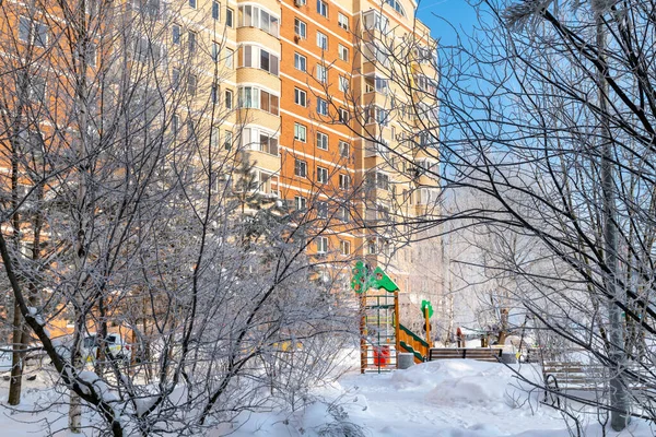 Trees Hoarfrost City Park Moscow Russia — Stock fotografie