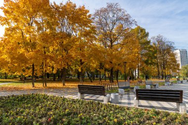 Moskova, Rusya - 2 Ekim. 2021 yılı. Zelenograd Bulvarında Altın Sonbahar