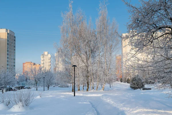 Winterlandschap Moskou Rusland — Stockfoto