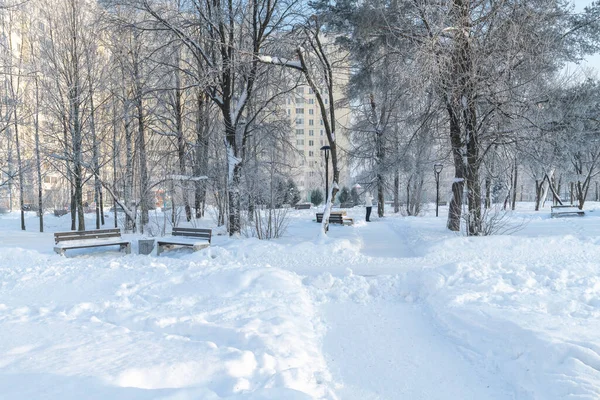 Winterlandschap Moskou Rusland — Stockfoto