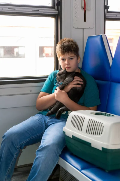 Teenager fährt mit Katze im Zug lizenzfreie Stockbilder