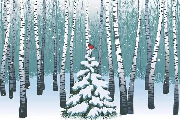 冬季白桦林 — 图库矢量图片