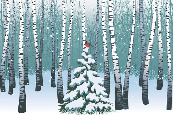 Winter birch wood — Stock Illustration Winter birch wood Vector Graphics