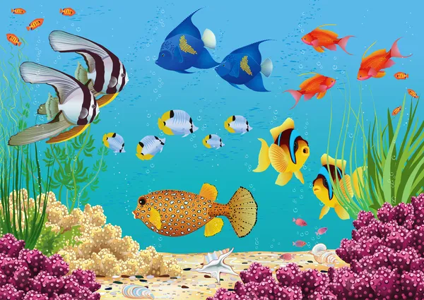 Aquarium background Vector Art Stock Images | Depositphotos