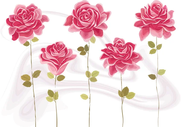 Rosas. — Vector de stock