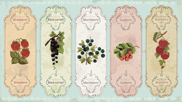 Vintage labels with berries