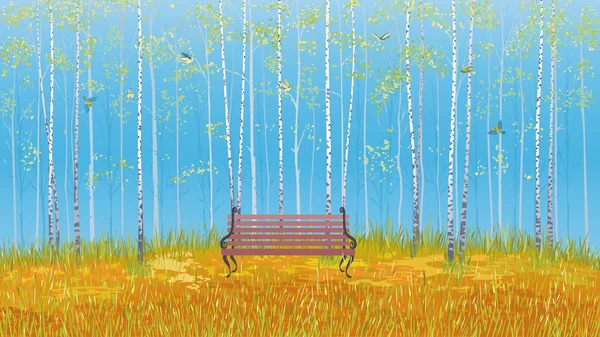 Birch grove — Stock Illustration Birch grove Vector Graphics