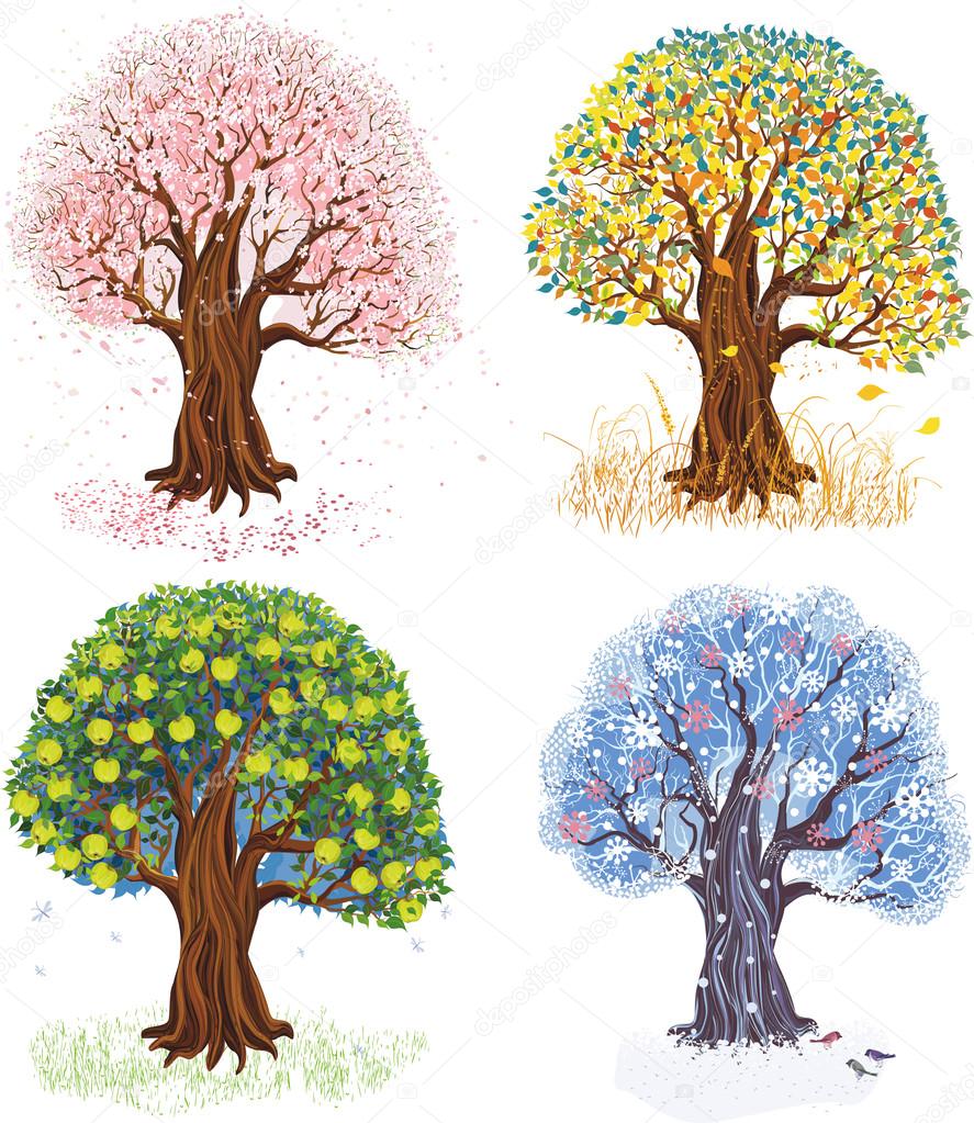 Four seasons