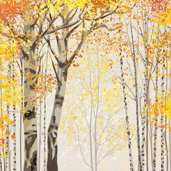 Birch grove in autumn time — Stock Illustration Birch grove in autumn time Royalty Free Stock Vectors