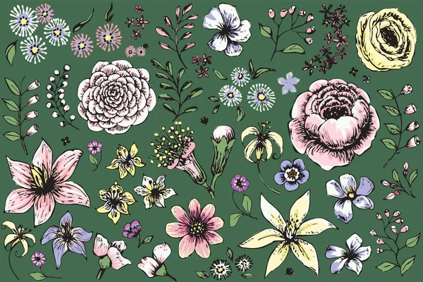 Colección Flores Flores Hierbas Sobre Fondo Verde Los Contornos Negros — Vector de stock