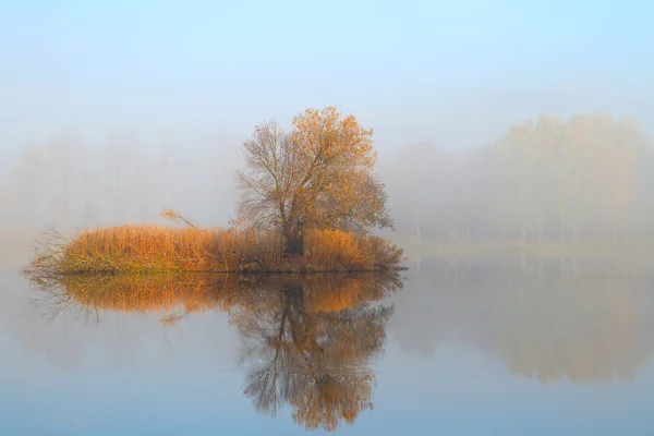 Herfst landschap en mistige lake — Stockfoto