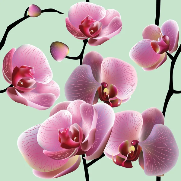 Struttura senza cuciture del Orchid — Vettoriale Stock