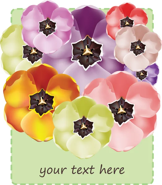 Patrón de flores de tulipán sin costuras — Vector de stock