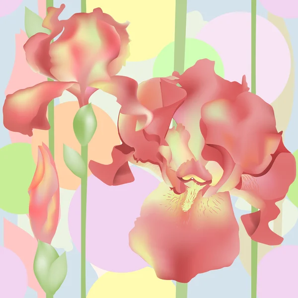 Vektor iris blommor — Stock vektor