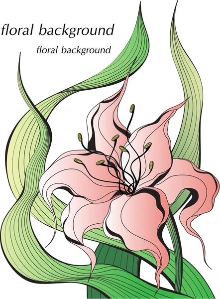 Sketch flowers lilies. — Stock Vector