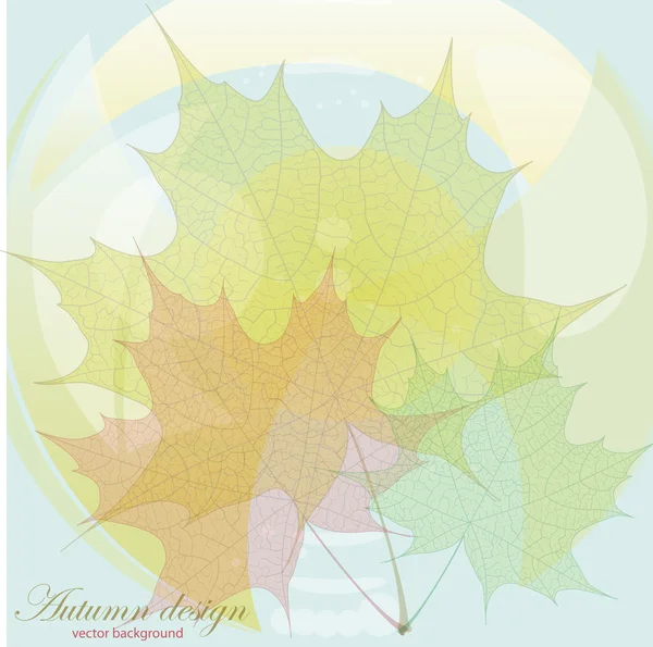 Feuilles d'automne. — Image vectorielle