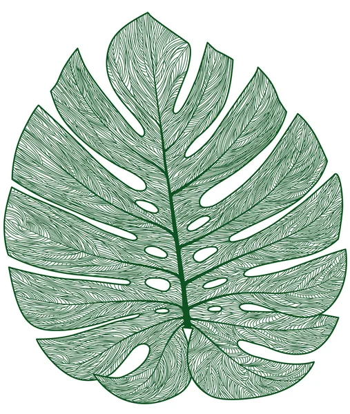 Feuille de palmier détaillée vectorielle — Image vectorielle