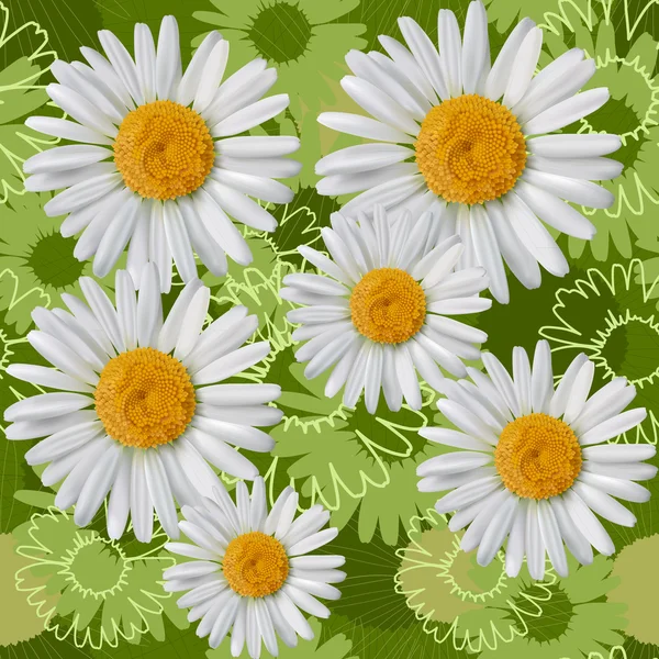 Camomile seamless pattern — Stock Vector