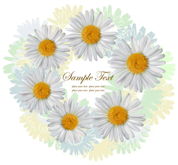 Background with chamomile flowers — Stock Vector