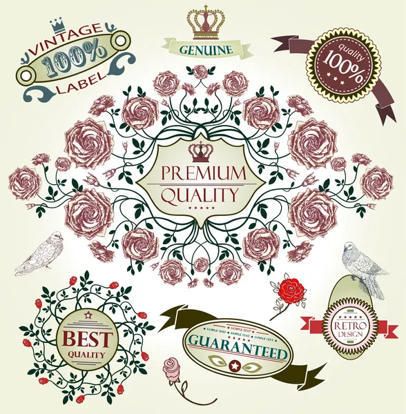 Vintage vector set: retro designelementen, pagina decoratie, Premiumkwaliteit en tevredenheid garanderen label collectie — Stockvector