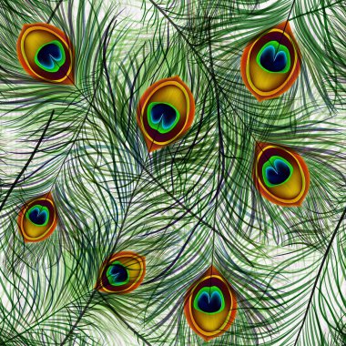 Beautiful vector seamless pattern with peacock feathers. clipart