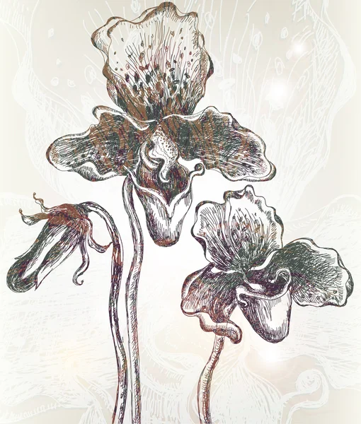 Винтажные орхидеи фон. Вектор. EPS 10 . — стоковый вектор