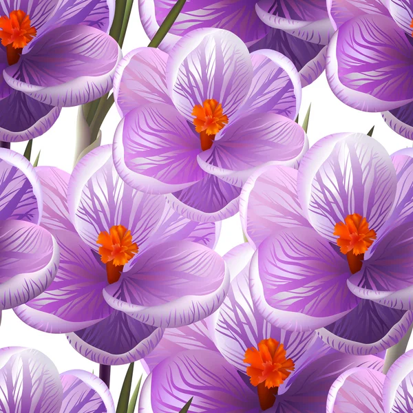 シームレス パターン クロッカスの花。ベクトル、eps10 — ストックベクタ