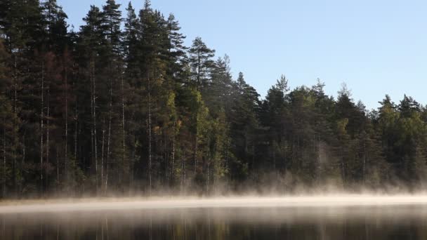 Morgondimma vid en sjö i skogen i Karelen, Ryssland — Stockvideo