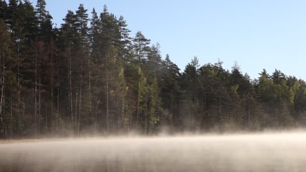 Brume matinale sur un lac dans les bois en Carélie, Russie 