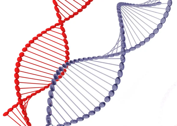 Koncepcja DNA — Zdjęcie stockowe