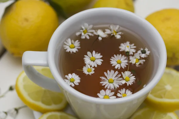 Kräutertee mit Kamille und Zitrone — Stockfoto