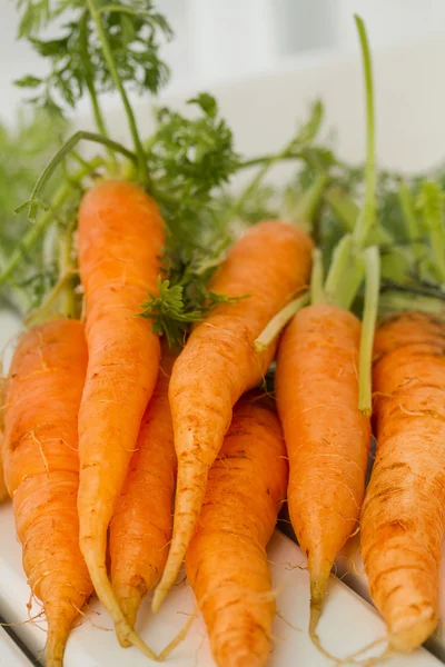 Frische Bio-Karotten — Stockfoto