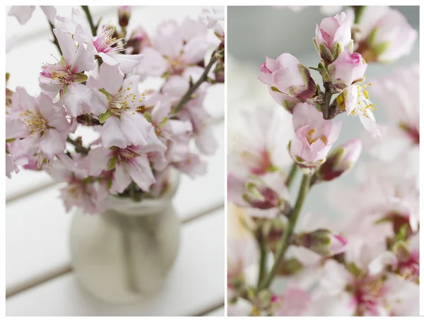 Colagem com flores de amêndoa Blossoming buquê em madeira branca b Imagem De Stock
