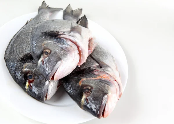 Peces de agua salada —  Fotos de Stock