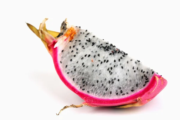 용설란 열매 — 스톡 사진