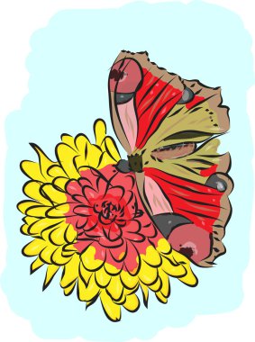 Kelebek