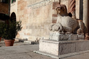 Aslan