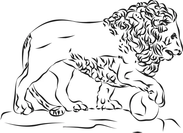 Lion — Stock Photo, Image