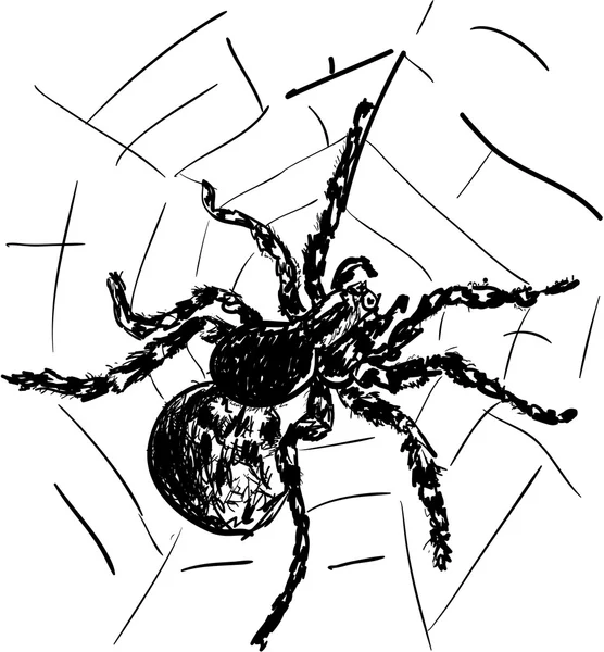 Araña — Archivo Imágenes Vectoriales